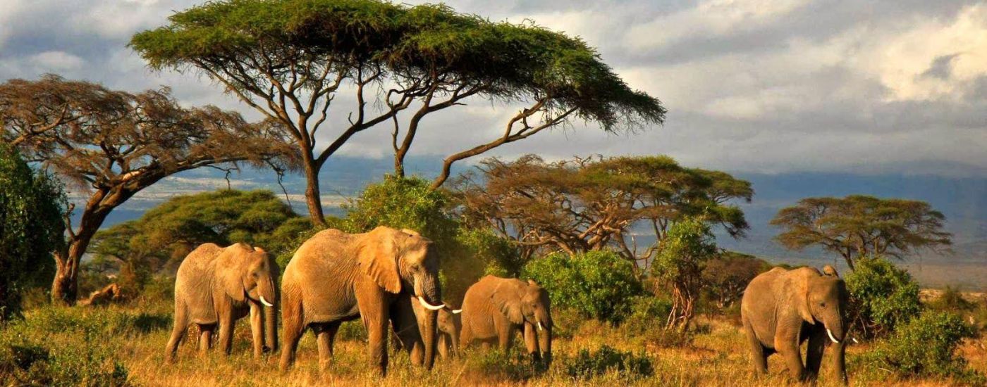 Tanzania