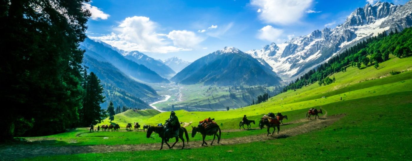 Kashmir